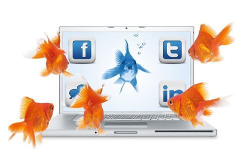reputacion-online