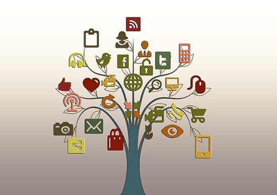 social_media